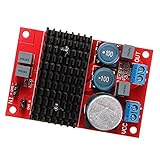 Flameer アンプボード　Mono チャンネル　デジタル　パワー　オーディオ　BTL Out　DC 12V-24V　TPA3116　