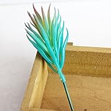 魔法使いハウルと火の悪魔3pcs Mini Gem Flower多肉植物人工植物のホームガーデンパーティー装飾 Package Quanity: 10 pcs A01FL16CA0707ER10067