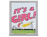 It 's A Girl / Happy Birthdayプリーツ紙Shades
