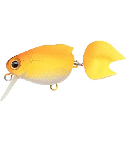 Amazon.co.jp: ラッキークラフト(LUCKY CRAFT)金魚・姉金60F