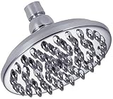 Danze D451279 Sunflower Single Function Showerhead 2.5 GPM 6-Inch Chrome [並行輸入品]