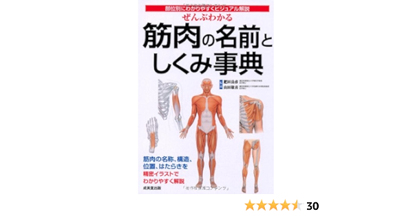 ぜんぶわかる筋肉の名前としくみ事典 部位別にわかりやすくビジュアル解説 敬喜 山田 本 通販 Amazon