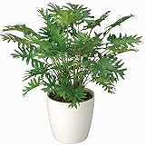 GREEN-s/造花 観葉植物 光触媒 グリーン スプリット46cm 241A5036