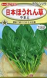 ホウレンソウ日本ほうれん草やまと