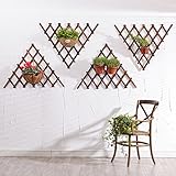 Plant shelf ウォールフラワーラック、バルコニーウォールハンギングプラントシェルフサスペンションセット1壁フラワーポットラック Flower racks ( サイズ さいず : 84*84C