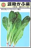 長野県名産 源助かぶ菜（飯田かぶ菜） 種子 （40ml）
