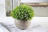 Xiton 光触媒 インテリア グリーン フェイクグリーン 人工観葉植物 鉢植え (針草, グリーン)