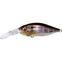 Amazon.co.jp: メガバス(Megabass) ルアー DEEP-X 100 LBO(ディープX