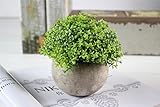 Kooyi 光触媒 インテリア グリーン フェイクグリーン 人工観葉植物 鉢植え (エンゼルの涙, グリーン)