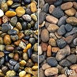 マツモト産業 ヤマト天然砂利 金華(きんか)(20kg)(5袋セット) 12-20mm