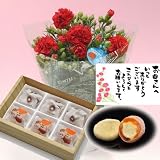 母の日 ギフト 生花 カーネーション5号鉢 & 栗きんとん3個 栗柿3個セット くり屋南陽軒