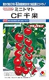 タキイ種苗 ミニトマト CF千果 約18粒