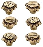 レインボーブランドHeavy Duty Antler引き出し/キャビネット引き出しノブ( 6パック)