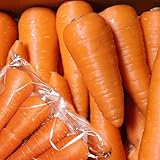 無農薬にんじん 5kg 国産 有機栽培 ジュース用 人参 鮮度保持袋セット 青森期待の新人商店