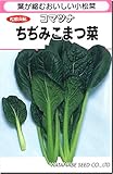 小松菜種子　ちぢみ小松菜（5.2ｍｌ）