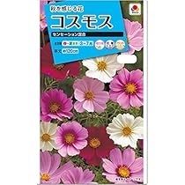 Amazon.co.jp: コスモス 種子 タキイ交配 センセーション 混合