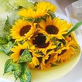 ヒマワリ２０本の花束母の日父の日敬老の日にも元気を贈ろう
