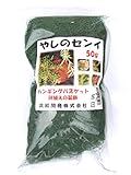 カラーやしのセンイ 50g 緑