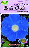 カネコ種苗 草花タネ702 あさがお 巨大輪咲き 青 10袋セット