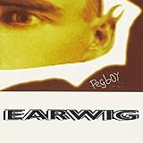 Earwig