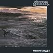 Moonflower [12 inch Analog]