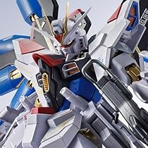 2個セット L ROBOT魂 ストライクフリーダムガンダム弐式 抽選販売】METAL ROBOT魂 ＜SIDE MS＞ ストライクフリーダム