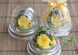 プリザーブドフラワー 小菊 （プチ イエロー）