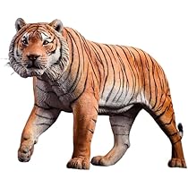 51nmrFL1M8L._AC_UL210_SR210,