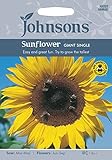 英国ミスターフォザーギルズシード＆ジョンソンシードSunflower Giant Single サンフラワー・ジャイアント・シングル