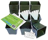 Set of 36 Plastic Nursery Plant Pots, "Seed Shaker" Card and 5 Plant Labels. Color: Green, Seedling 