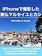 iPhoneで撮影した南仏マルセイユとカシ (くろむぽん出版)