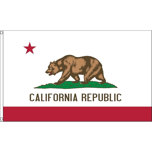 Amazon.co.jp: アメリカンフラッグ☆カリフォルニア州旗☆3x5ft 