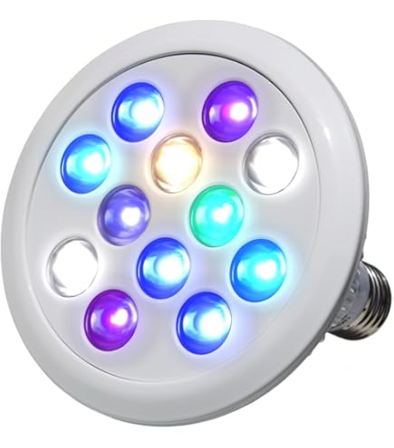 Amazon | ボルクスジャパン グラッシーレディオ RX072 アクア