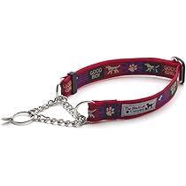 犬 首輪 ハーフチョーク Amazon | ザ・ブラックラブカンパニー ハーフチョーク Lサイズ