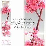 ハーバリウム 【 ペッパーベリー 】 herbarium SIMPLE SERIES