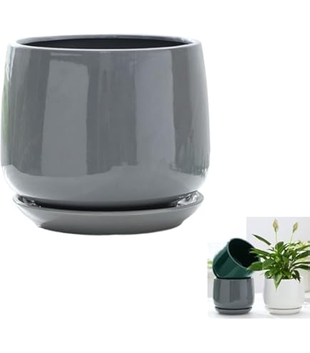 Amazon | Auyyhui植木鉢 陶器 観葉植物 鉢 大型 陶器鉢 観葉植物鉢