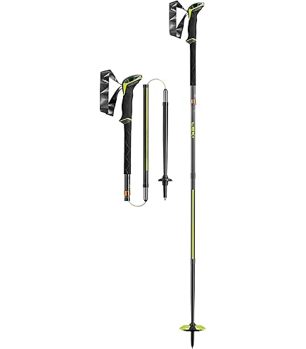Amazon | レキ(LEKI) アウトドア 登山 トレッキング ブラック