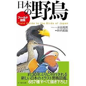 フィールド図鑑 日本の野鳥
