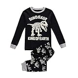 キッズパジャマ ホーム ウェア 子供服 男の子 恐竜柄 長袖 上下セット アニマル 春 秋 寝巻き カジュアル お出かけ (110cm)