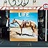 フジファブリック「LIFE(初回限定盤)」