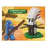 レゴ（LEGO） ニンジャゴー LEGO NINJAGO Masters of Spinjitzu ニンジャ・トレーニング(Ninja Training) #30082  ニンジャ 忍者 ミニフィグブ