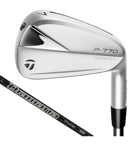 Amazon.co.jp: テーラーメイド P760アイアン 6本セット（#5-PW）NS PRO