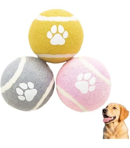 Amazon | iFetch インターアクティブ ボールランチャー犬用 - 小型
