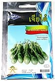 【アウトレット】小ナス 商品Ａ Round Eggplant Makhuea pro マクアプロ タネ 種子 タイの野菜 約1g CHIA THAI