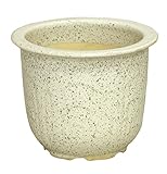 ウズラカブト 7号 信楽焼　植木鉢　ガーデニング　陶器鉢