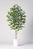 LION 人工植物　GB-241 品番57759