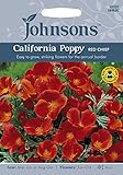 JOFL 英国ジョンソンズシード Eschscholzia Red Chief エスコルシア（カリフォルニアポピー)・レッド・チーフ