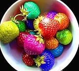 80 seeds/pack color rain bow strawberry seeds fruit Multi-color strawberries seeds flower seed garde