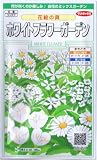 ホワイトフラワーガーデン・花絵の具