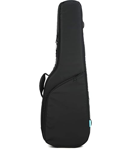 Amazon | RITTER RGB4‑E FRO BERN Electric Guitar エレキギター用